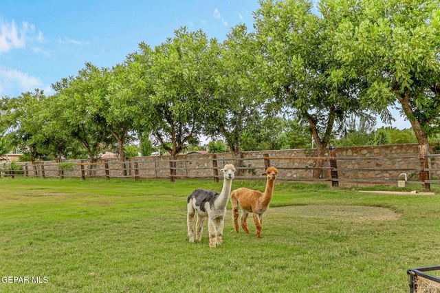 4298 BOY SCOUT Lane, El Paso, TX 79922