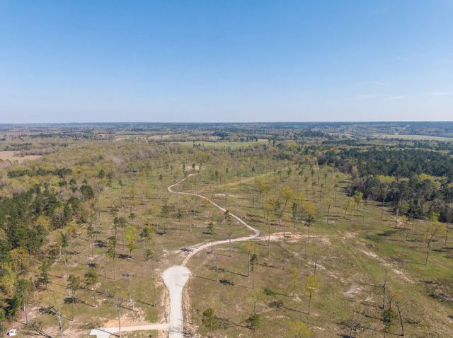 Lot 7 Johnson Drive, Livingston, TX 77351