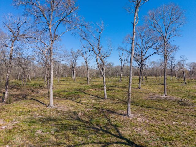 Lot 7 Johnson Drive, Livingston, TX 77351