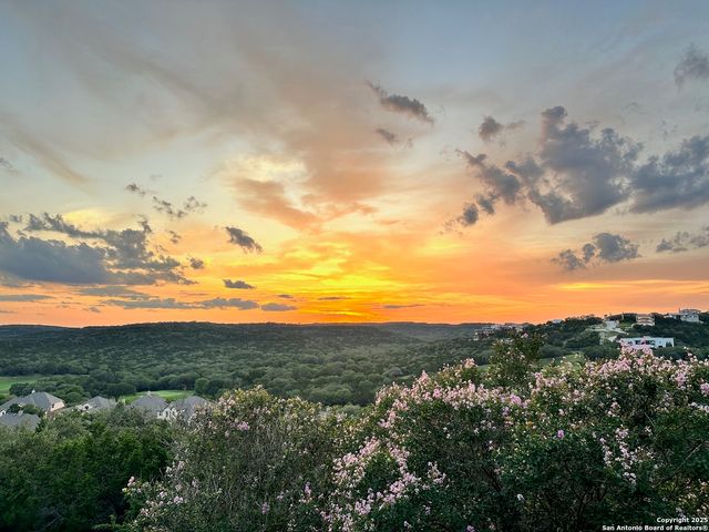 17019 Turin Rdg, San Antonio, TX 78255