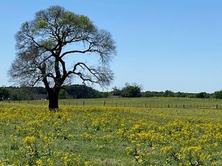 TBD FM 607, Larue, TX 75770