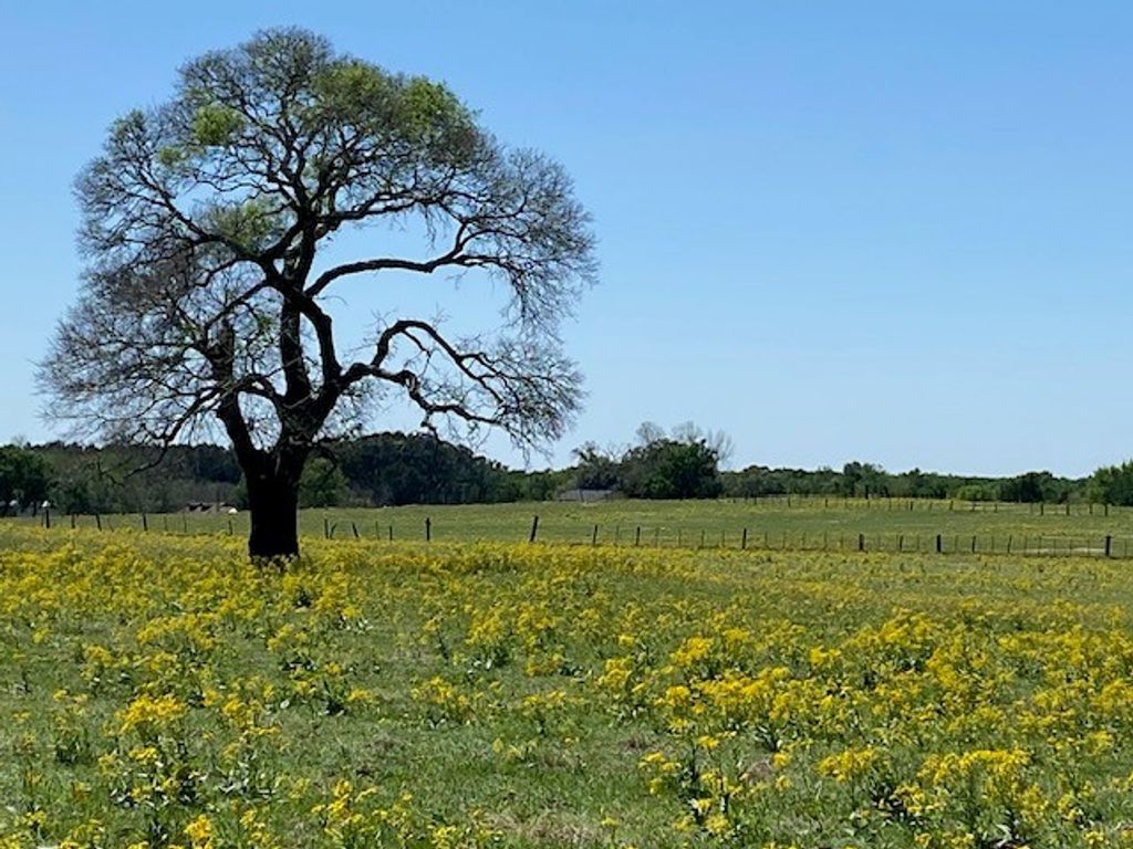 TBD FM 607, Larue, TX 75770