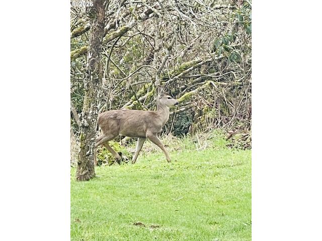 922 FERN Pl, Reedsport, OR 97467