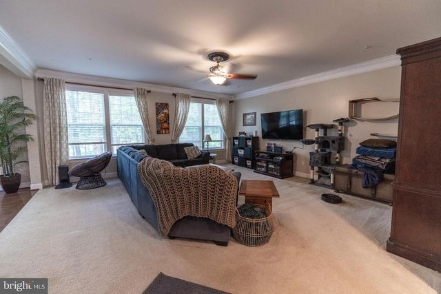 43675 WILD IRIS ST, California, MD 20619