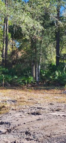 213 BREEZEWAY Avenue, Satsuma, FL 32189