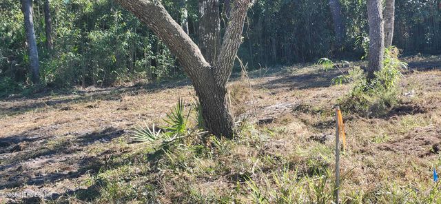 213 BREEZEWAY Avenue, Satsuma, FL 32189