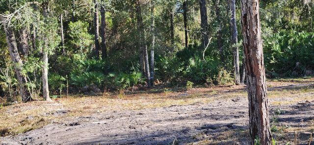 213 BREEZEWAY Avenue, Satsuma, FL 32189