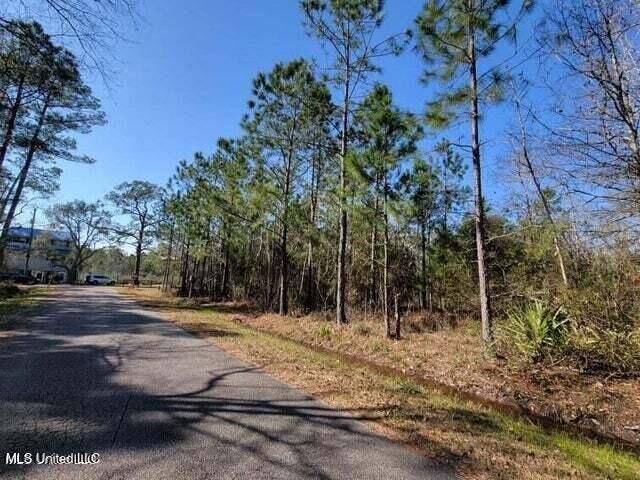 0 Wolf Street, Waveland, MS 39576
