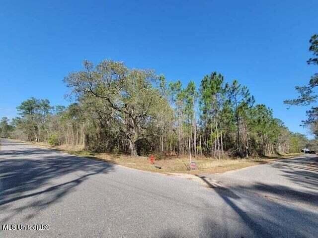 0 Wolf Street, Waveland, MS 39576