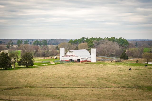 15680 64 HWY, Somerville, TN 38068