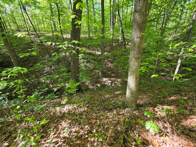 6377 N Tutterow Road, Monrovia, IN 46157