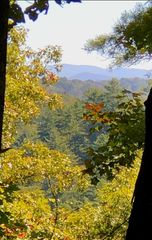 Lot 157 Roaring Forks Lane, Ellijay, GA 30540