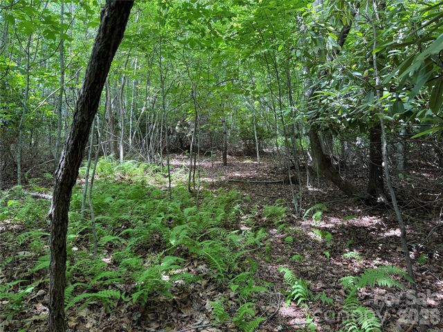 0000 Hardwood Summit Drive 191, Hendersonville, NC 28739