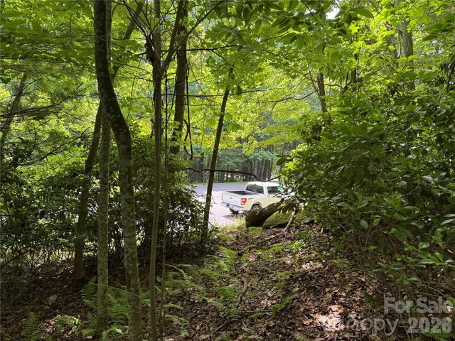 0000 Hardwood Summit Drive 191, Hendersonville, NC 28739