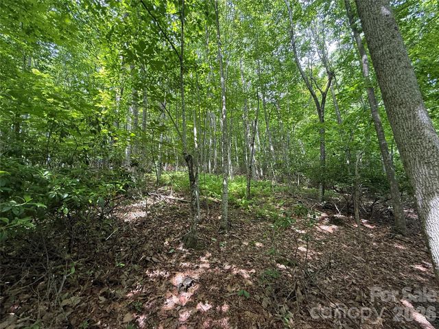 0000 Hardwood Summit Drive 191, Hendersonville, NC 28739