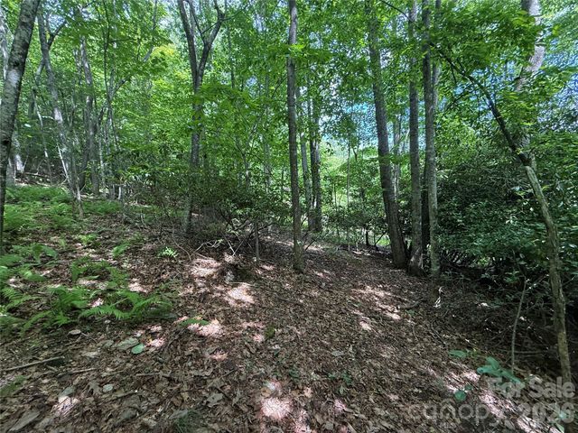 0000 Hardwood Summit Drive 191, Hendersonville, NC 28739