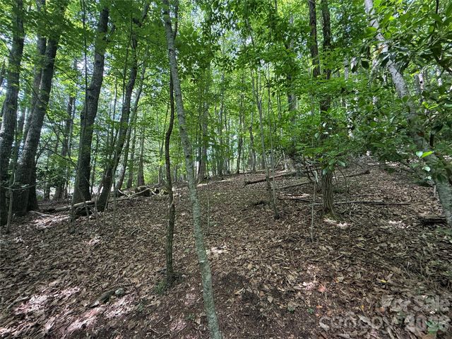 0000 Hardwood Summit Drive 191, Hendersonville, NC 28739