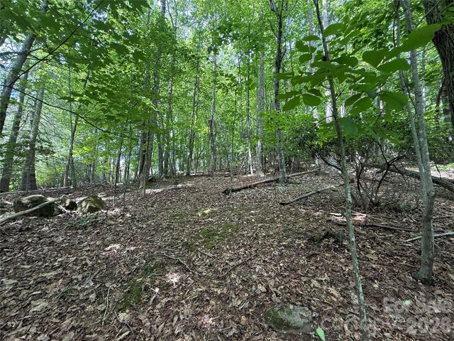0000 Hardwood Summit Drive 191, Hendersonville, NC 28739