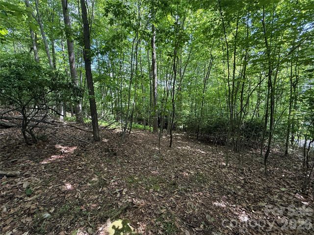 0000 Hardwood Summit Drive 191, Hendersonville, NC 28739