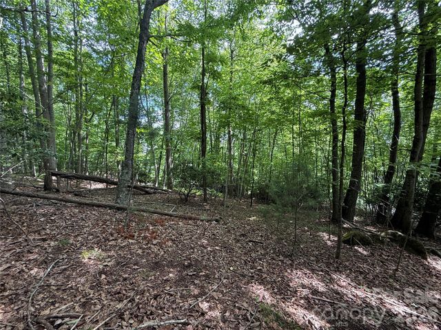 0000 Hardwood Summit Drive 191, Hendersonville, NC 28739