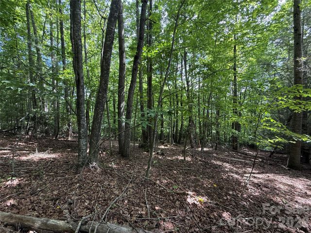 0000 Hardwood Summit Drive 191, Hendersonville, NC 28739