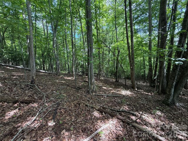0000 Hardwood Summit Drive 191, Hendersonville, NC 28739