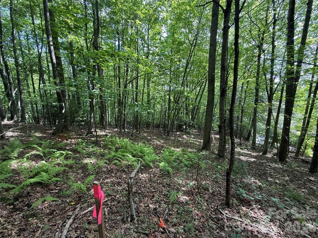 0000 Hardwood Summit Drive 191, Hendersonville, NC 28739