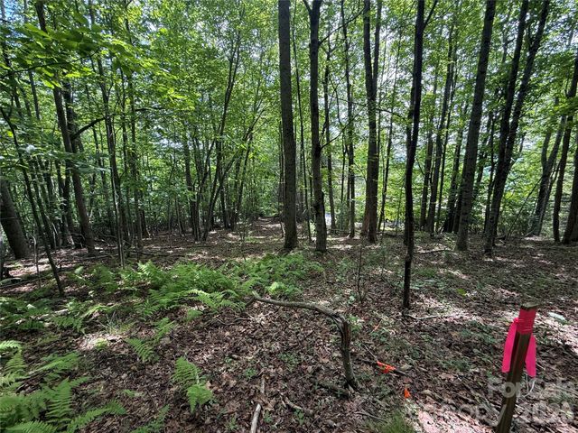 0000 Hardwood Summit Drive 191, Hendersonville, NC 28739