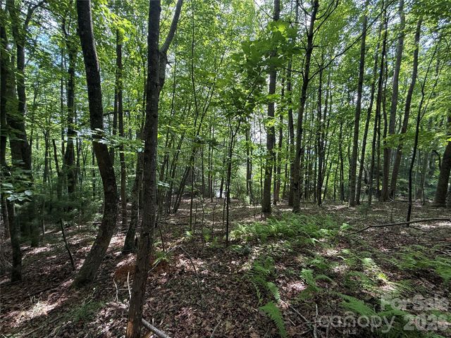 0000 Hardwood Summit Drive 191, Hendersonville, NC 28739