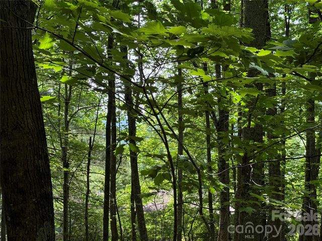 0000 Hardwood Summit Drive 191, Hendersonville, NC 28739
