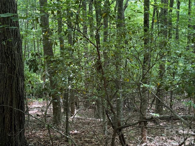 0000 Hardwood Summit Drive 191, Hendersonville, NC 28739