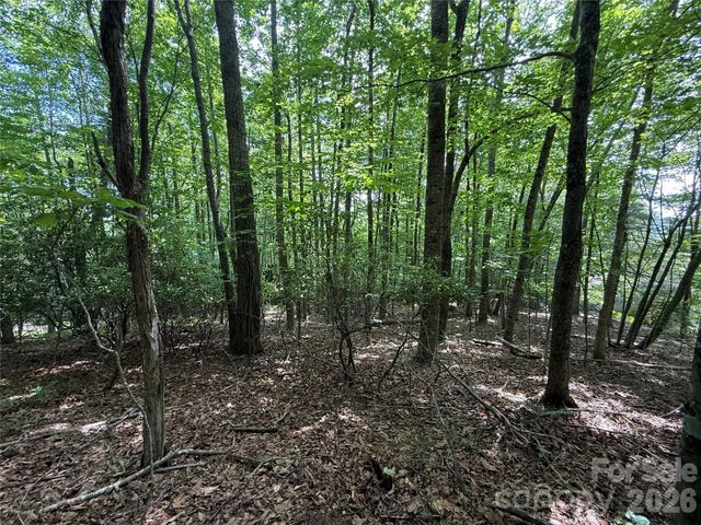 0000 Hardwood Summit Drive 191, Hendersonville, NC 28739