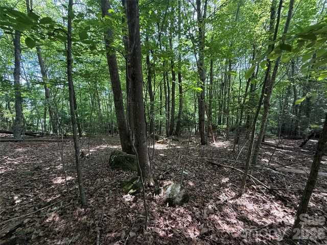 0000 Hardwood Summit Drive 191, Hendersonville, NC 28739