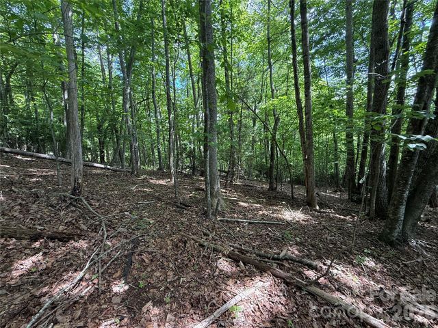 0000 Hardwood Summit Drive 191, Hendersonville, NC 28739
