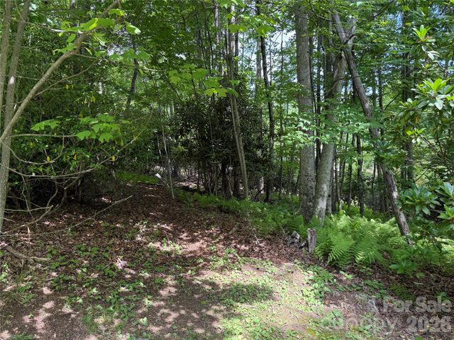 0000 Hardwood Summit Drive 191, Hendersonville, NC 28739