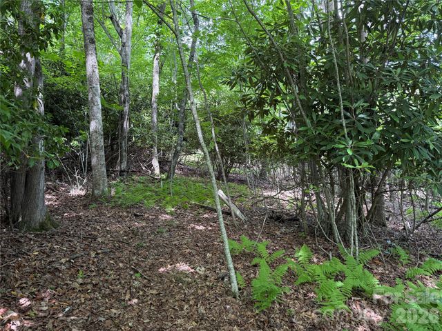 0000 Hardwood Summit Drive 191, Hendersonville, NC 28739