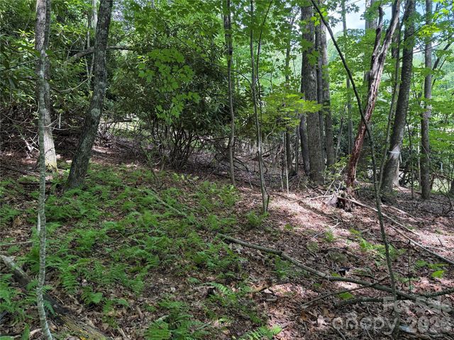 0000 Hardwood Summit Drive 191, Hendersonville, NC 28739