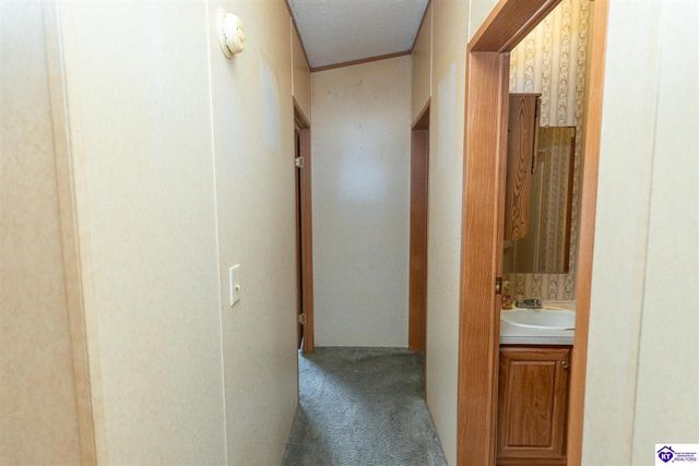 218 Blackburn Road, Rineyville, KY 40162
