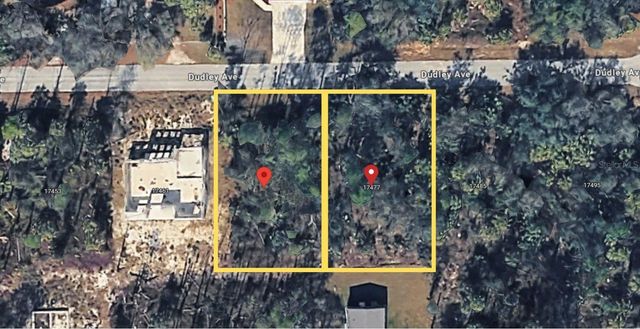 17469 & 17477 DUDLEY AVENUE, Port Charlotte, FL 33954
