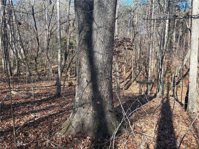 3131 Zz Huffine Mill Road, Gibsonville, NC 27249