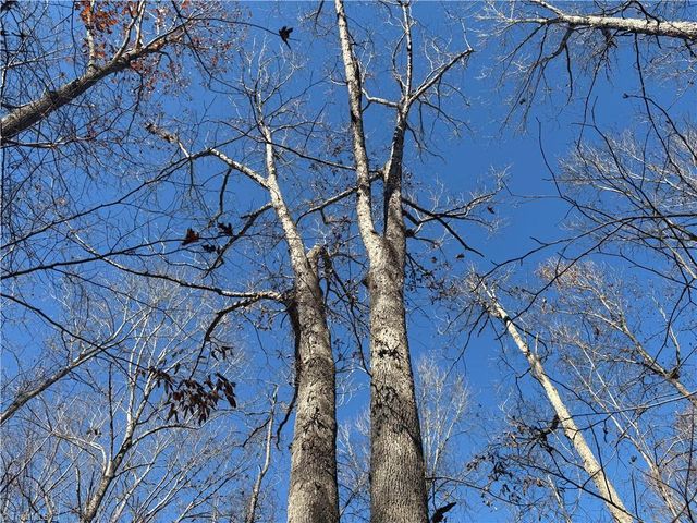 3131 Zz Huffine Mill Road, Gibsonville, NC 27249