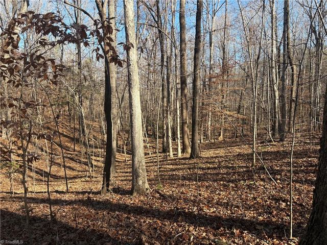 3131 Zz Huffine Mill Road, Gibsonville, NC 27249