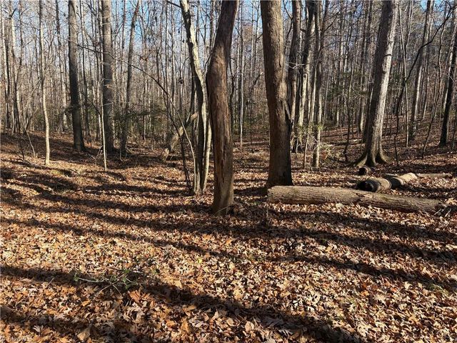 3131 Zz Huffine Mill Road, Gibsonville, NC 27249