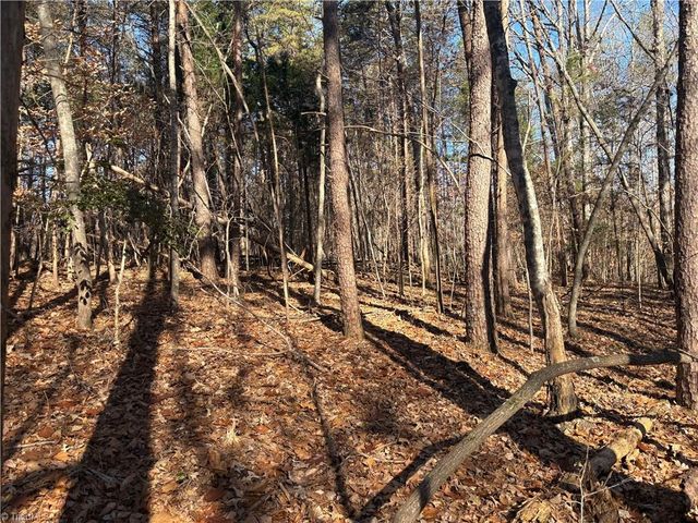 3131 Zz Huffine Mill Road, Gibsonville, NC 27249