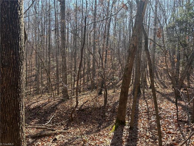 3131 Zz Huffine Mill Road, Gibsonville, NC 27249