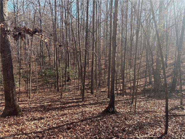 3131 Zz Huffine Mill Road, Gibsonville, NC 27249