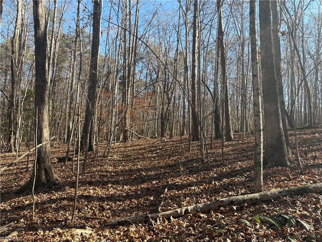 3131 Zz Huffine Mill Road, Gibsonville, NC 27249