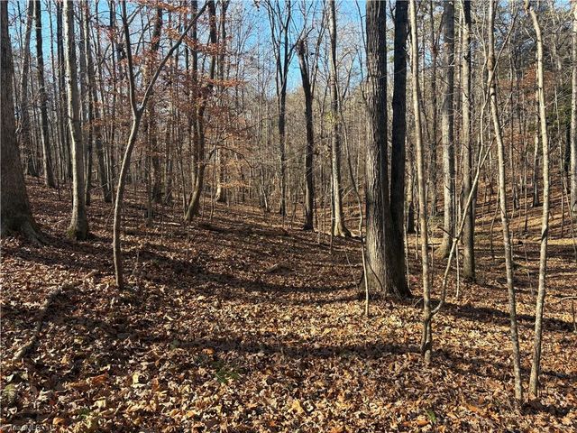 3131 Zz Huffine Mill Road, Gibsonville, NC 27249