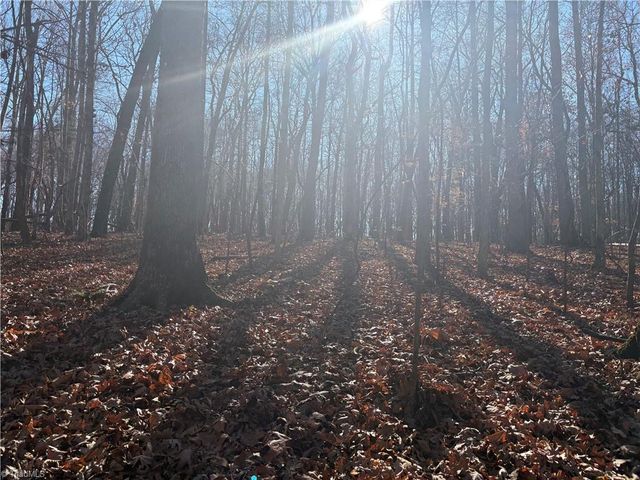 3131 Zz Huffine Mill Road, Gibsonville, NC 27249