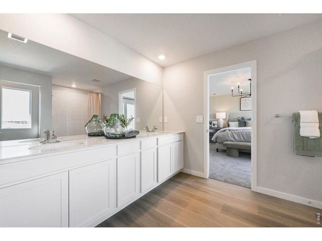 6158 Drum Pl, Loveland, CO 80538